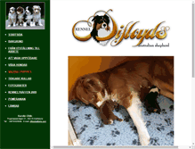 Tablet Screenshot of difloyds.com